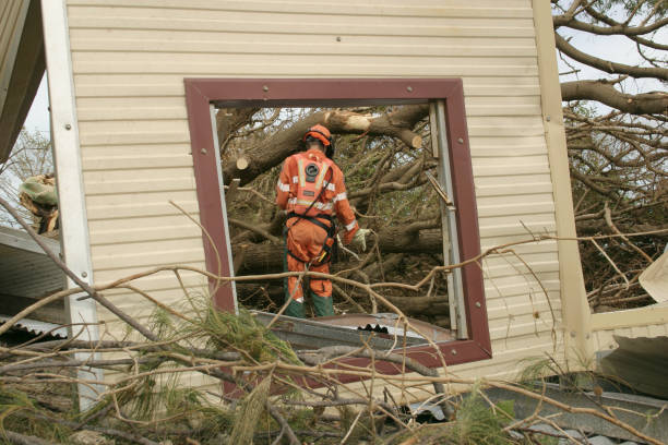 Best Arborist Consultation Services  in Mabscott, WV